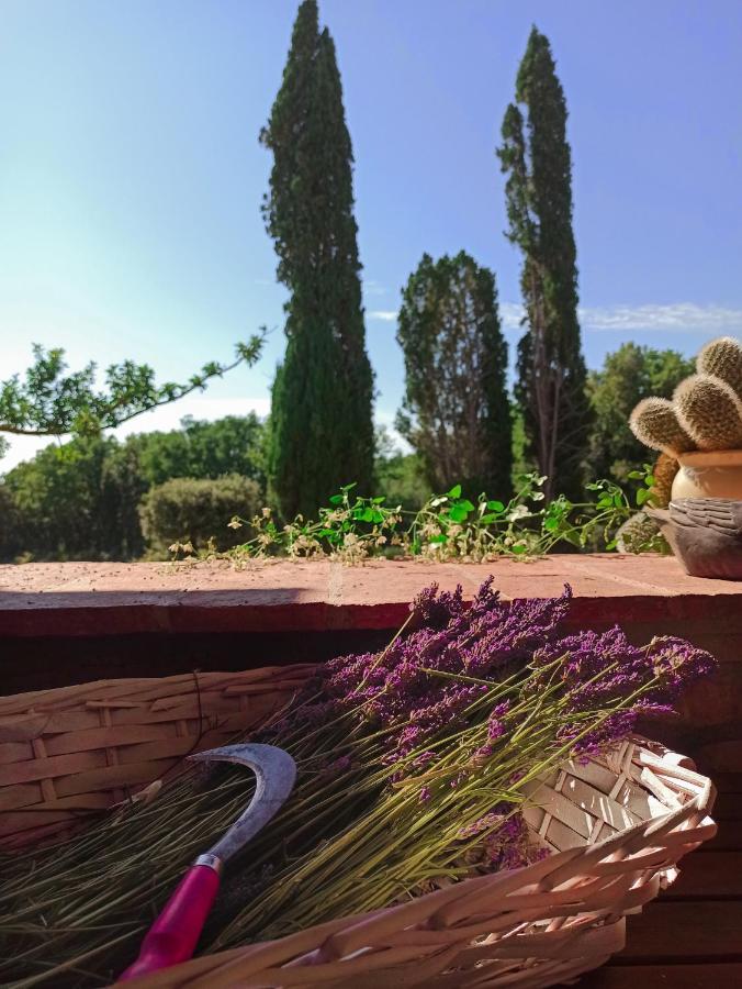 Agriturismo Podere Le Palaie Monterotondo  المظهر الخارجي الصورة