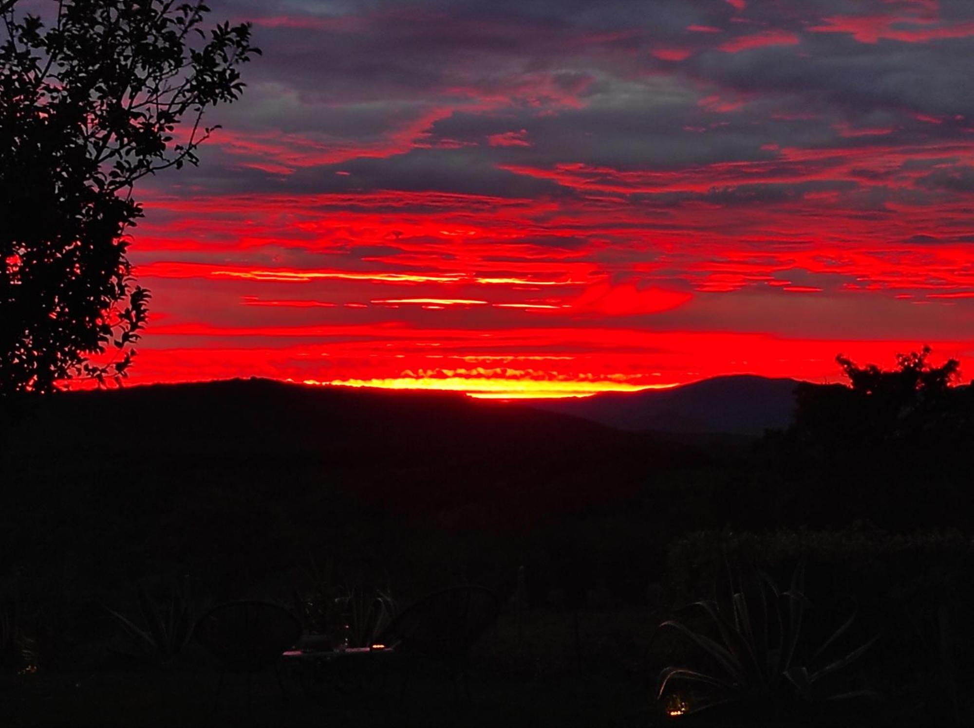 Agriturismo Podere Le Palaie Monterotondo  الغرفة الصورة