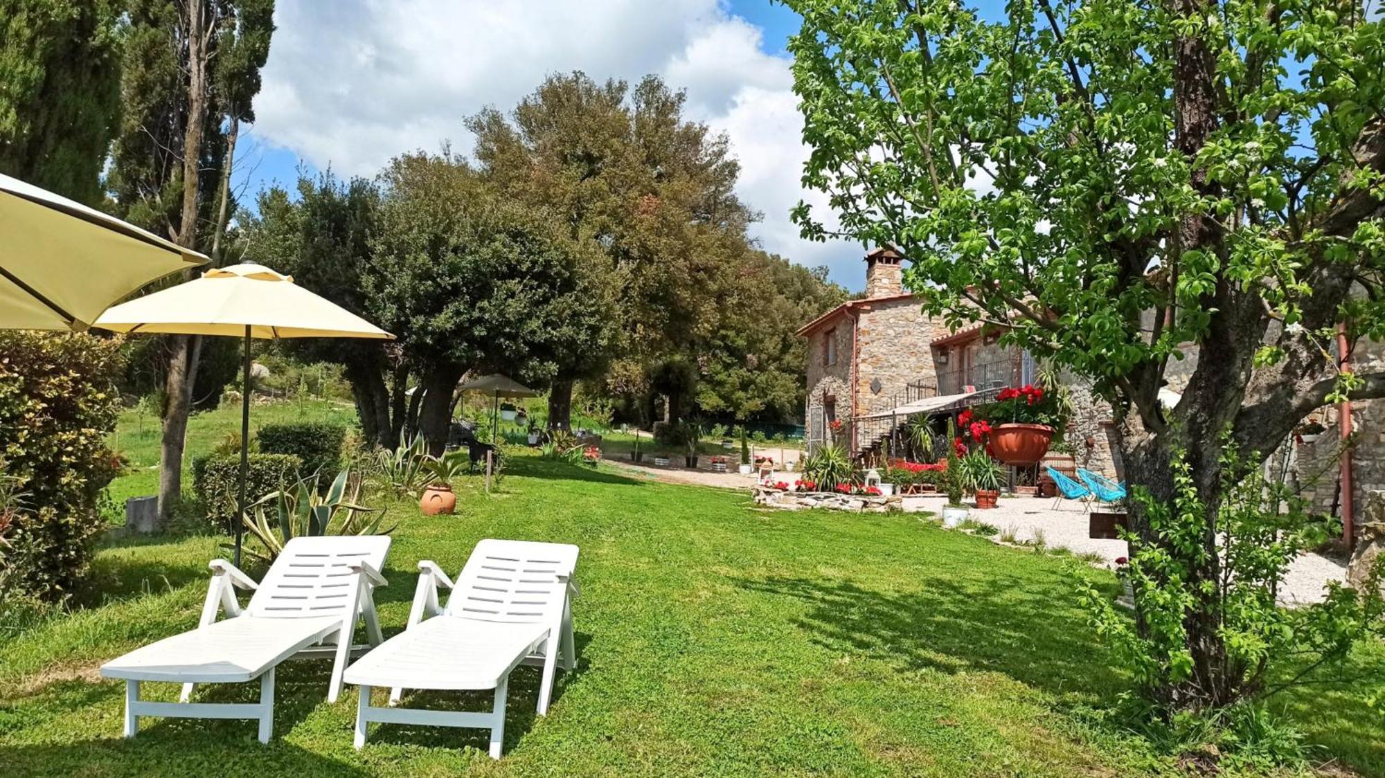 Agriturismo Podere Le Palaie Monterotondo  الغرفة الصورة